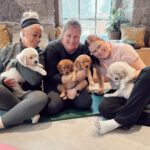 puppies